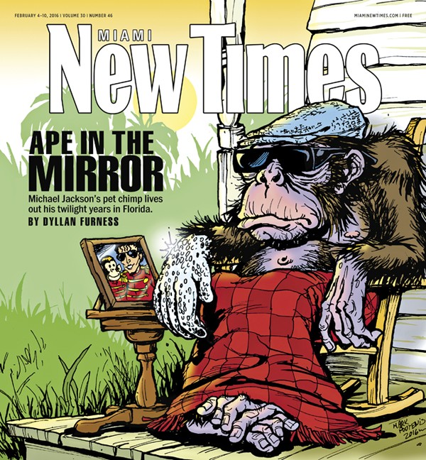 Ape in the Mirror
