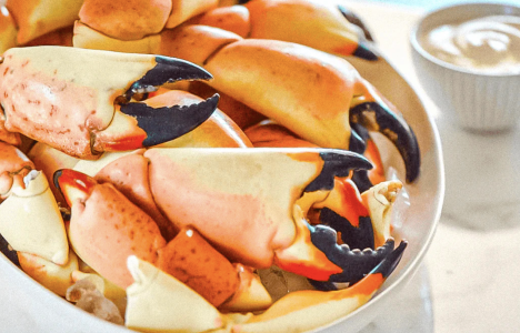 Where to Find the Best Stone Crab in Miami