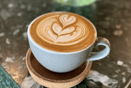 13 Best Coffee Shops in Miami