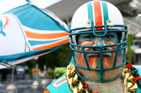 Study: Dolphins Fans Complain — But Politely