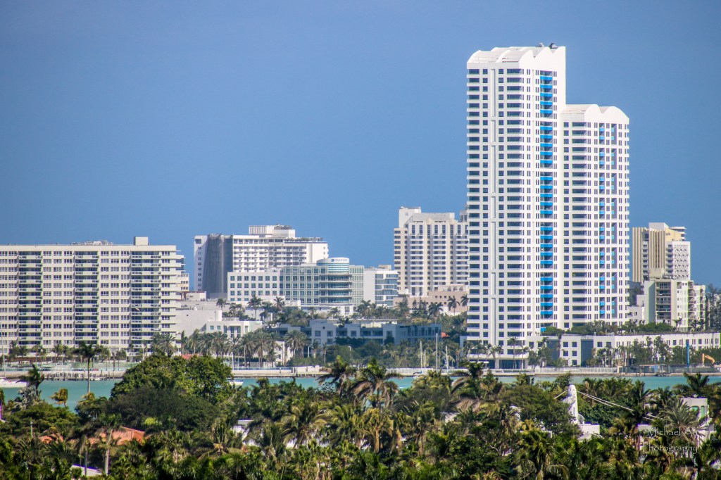 a shot of Miami's skyline with tropical trees in the foreground