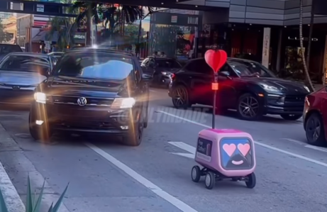 Video: Food Delivery Robots Cause Brutal Traffic Jam in Brickell