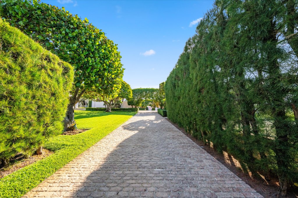 A brick-laid driveway is lined with well-manicured trees and fuzzy shrubs