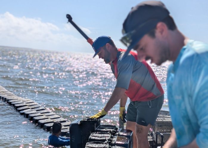 Can Miami Become the South’s Next Great Oyster Capital?