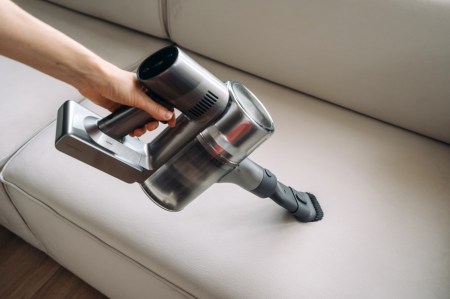 No Charges Filed in Pervy Couch-Sniffing Incident