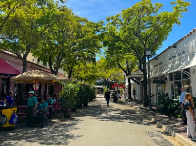 Fuller Street to Transform After City Approval