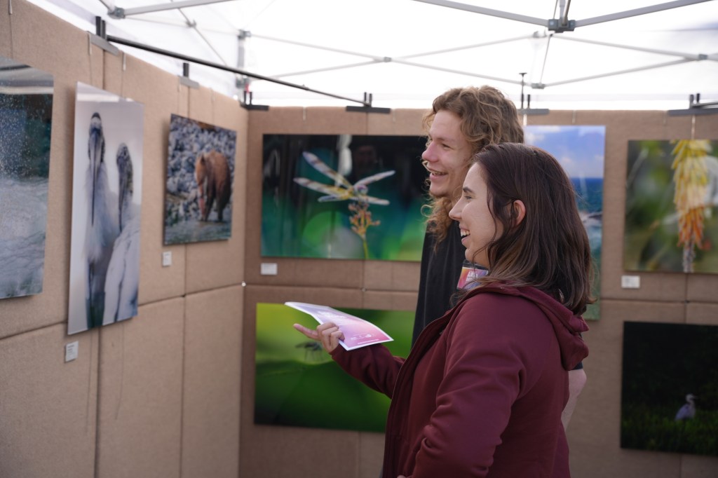 photo of two people looking at photographs inside a tent at an outdoor art fair