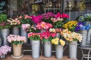 photo of flower arrangements in tin pots at a shop