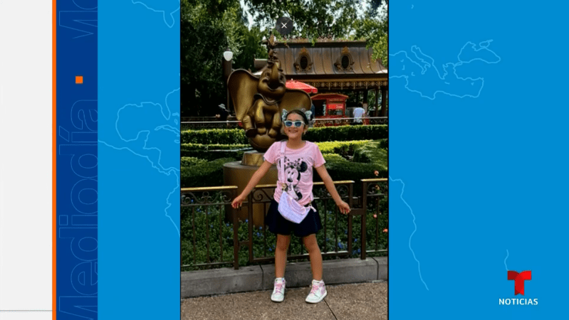 A photo of a young girl smiling while wearing a light pink shirt featuring Minnie Mouse.