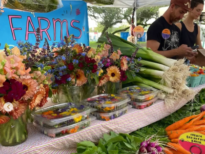 10 Best Farmers' Markets in Miami