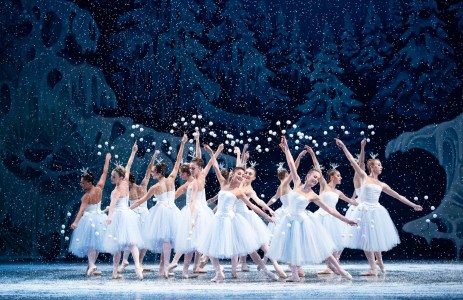 To Timothée: Where to See Ballet and Opera in Miami