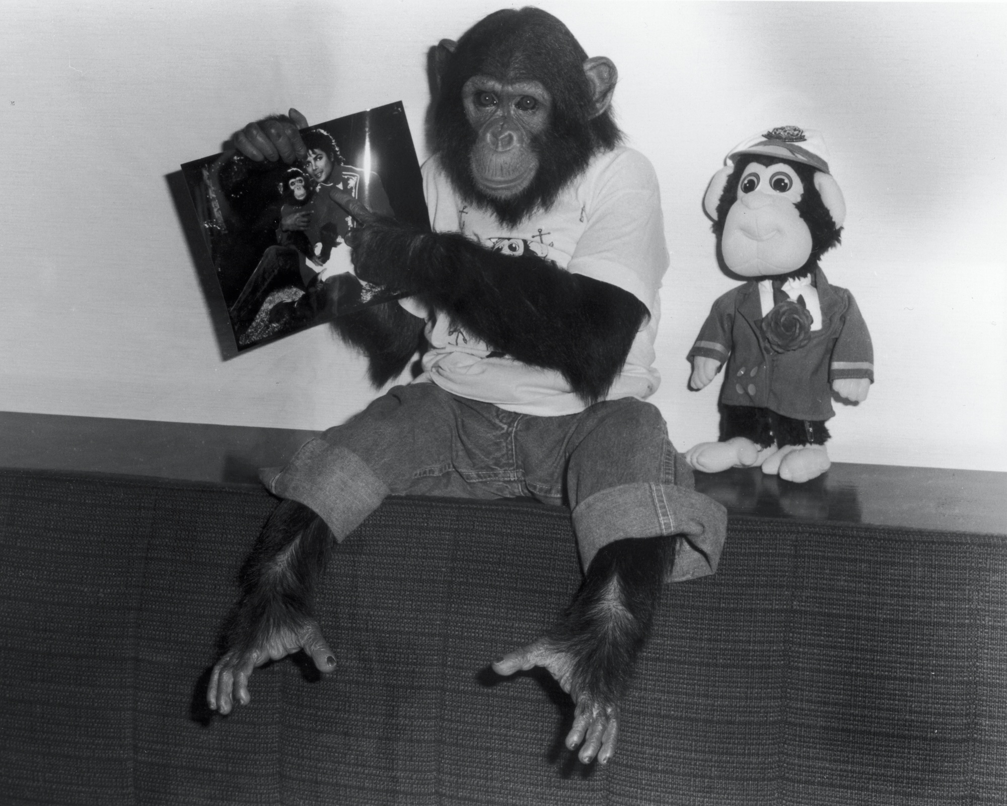 Did Jackson Star Visit Michael's Chimp Bubbles in Florida?