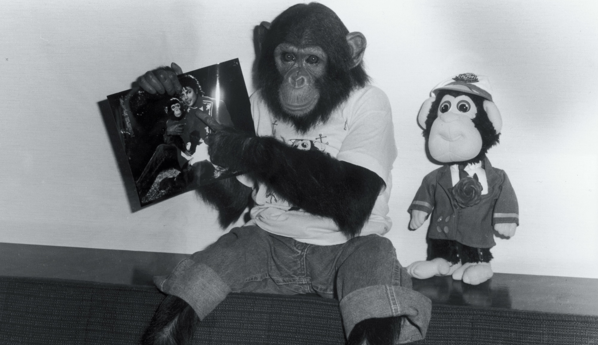 black-and-white photo of a chimpanzee wearing a shirt and pants and holding up a photo of himself with Michael Jackson