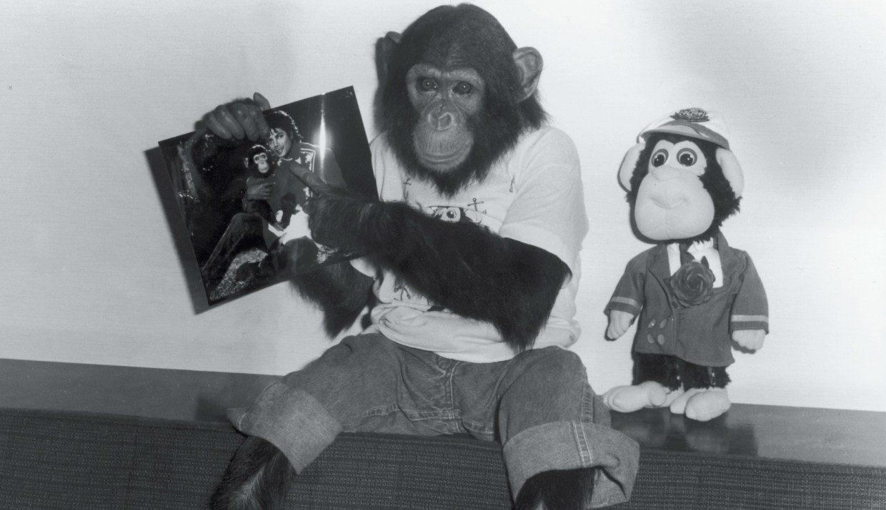 black-and-white photo of a chimpanzee wearing a shirt and pants and holding up a photo of himself with Michael Jackson