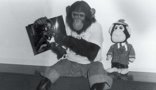 No, <em>Michael</em> Star Did Not Visit Bubbles the Chimp