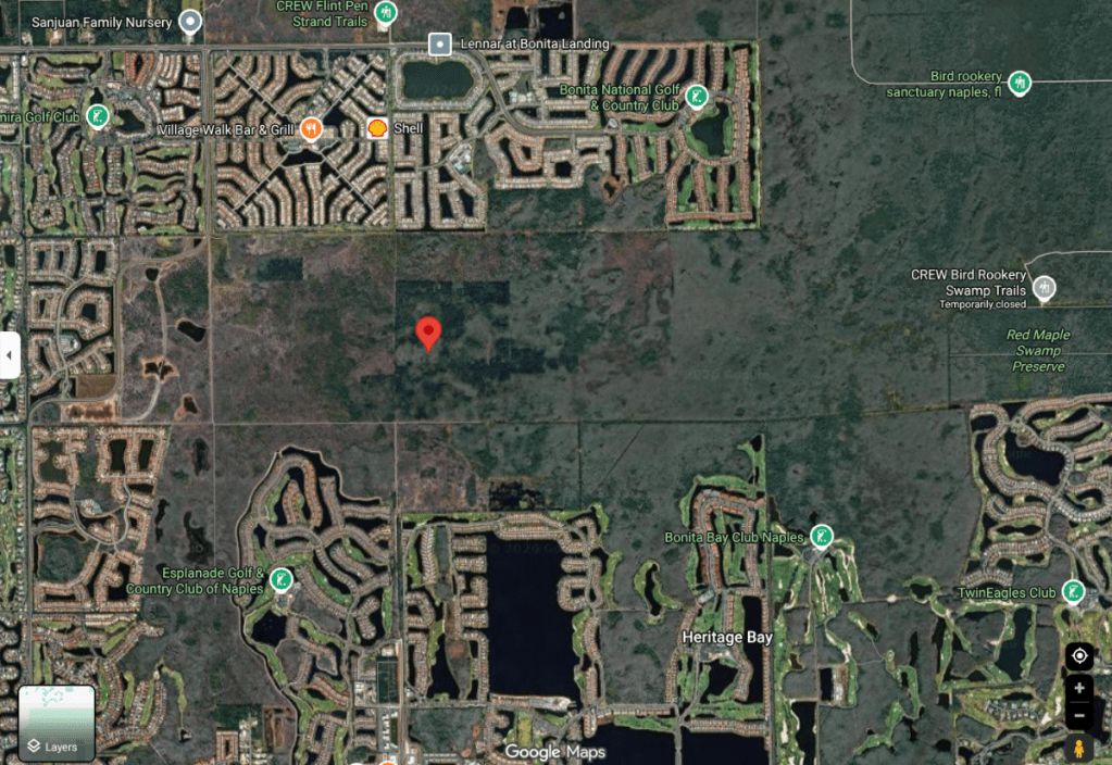 A screenshot of a map with a red pin in the middle of swamp land.