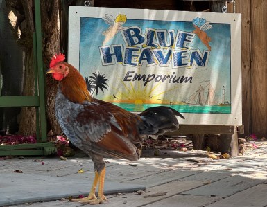 Where Ernest Hemingway Ate and Drank in Key West