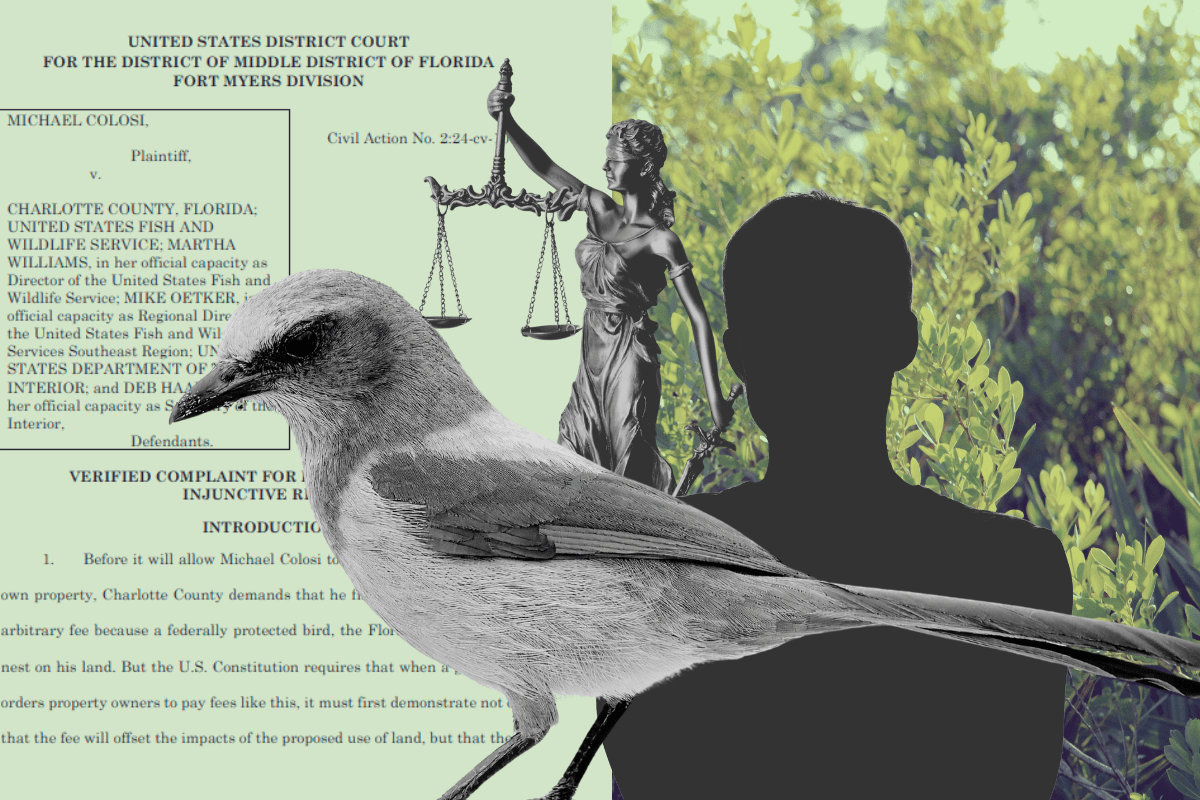 A photo collage of a Florida scrub jay, a lawsuit filing, scrub habitat, a dark silhouette of a man, and the Lady Justice statue.