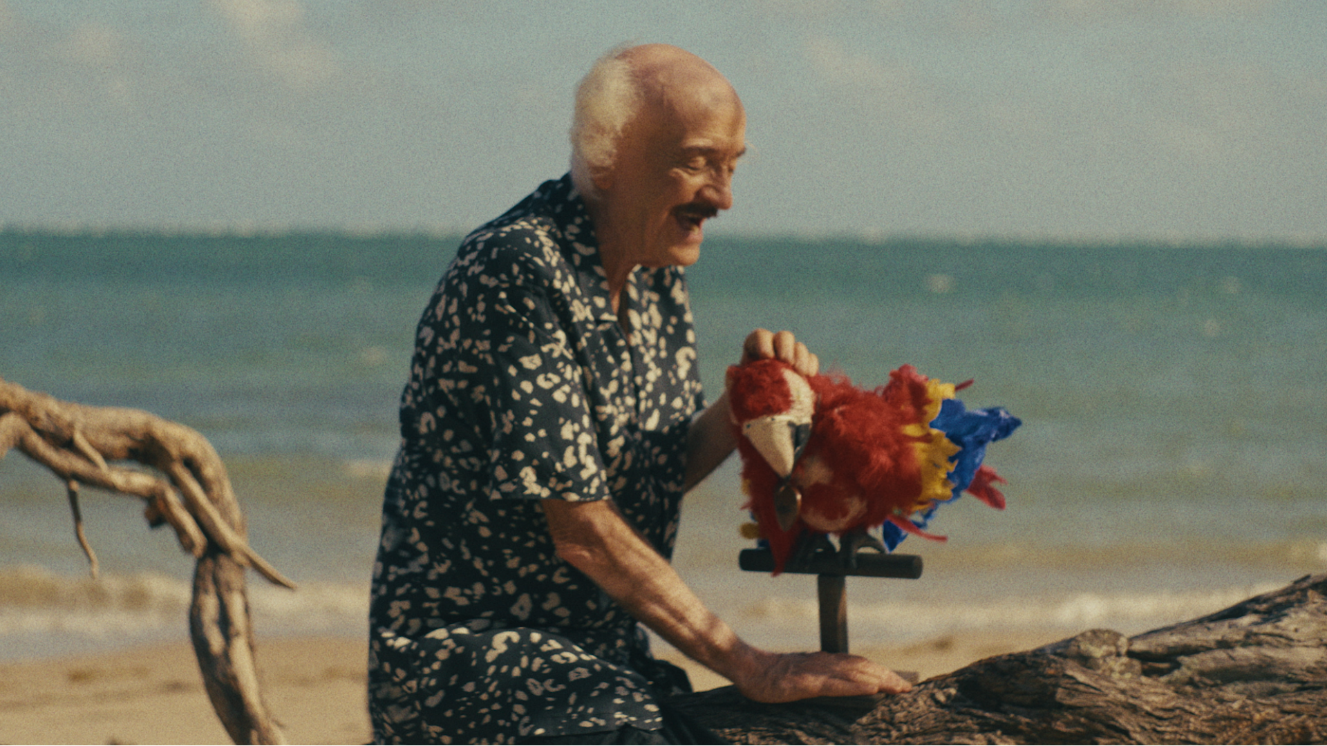still from the movie 'Old Man and the Parrot' showing an old man on the beach petting a stuffed parrot toy