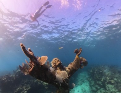 Your guide to Key Largo's underwater playground