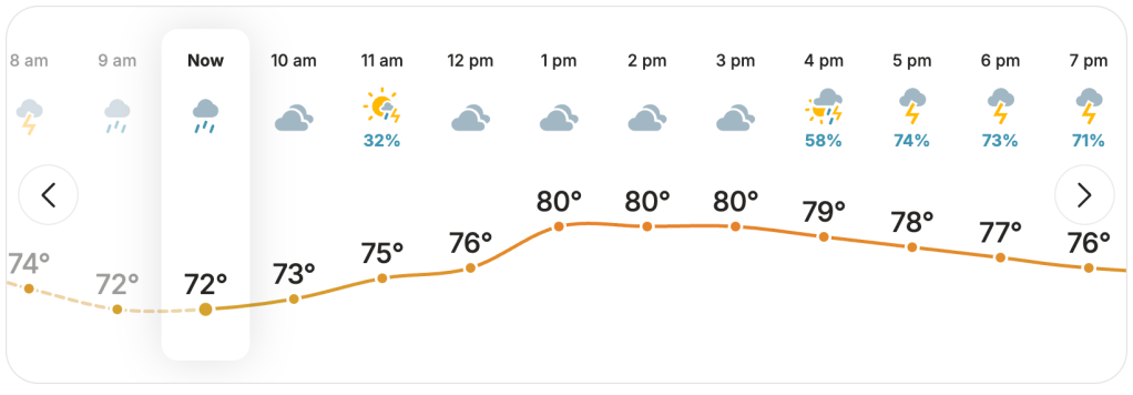screenshot showing rainy forecast on weather.com