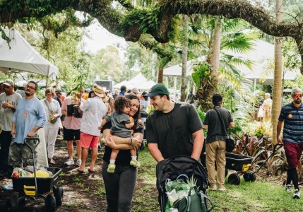 The best things to do with family in Miami in June