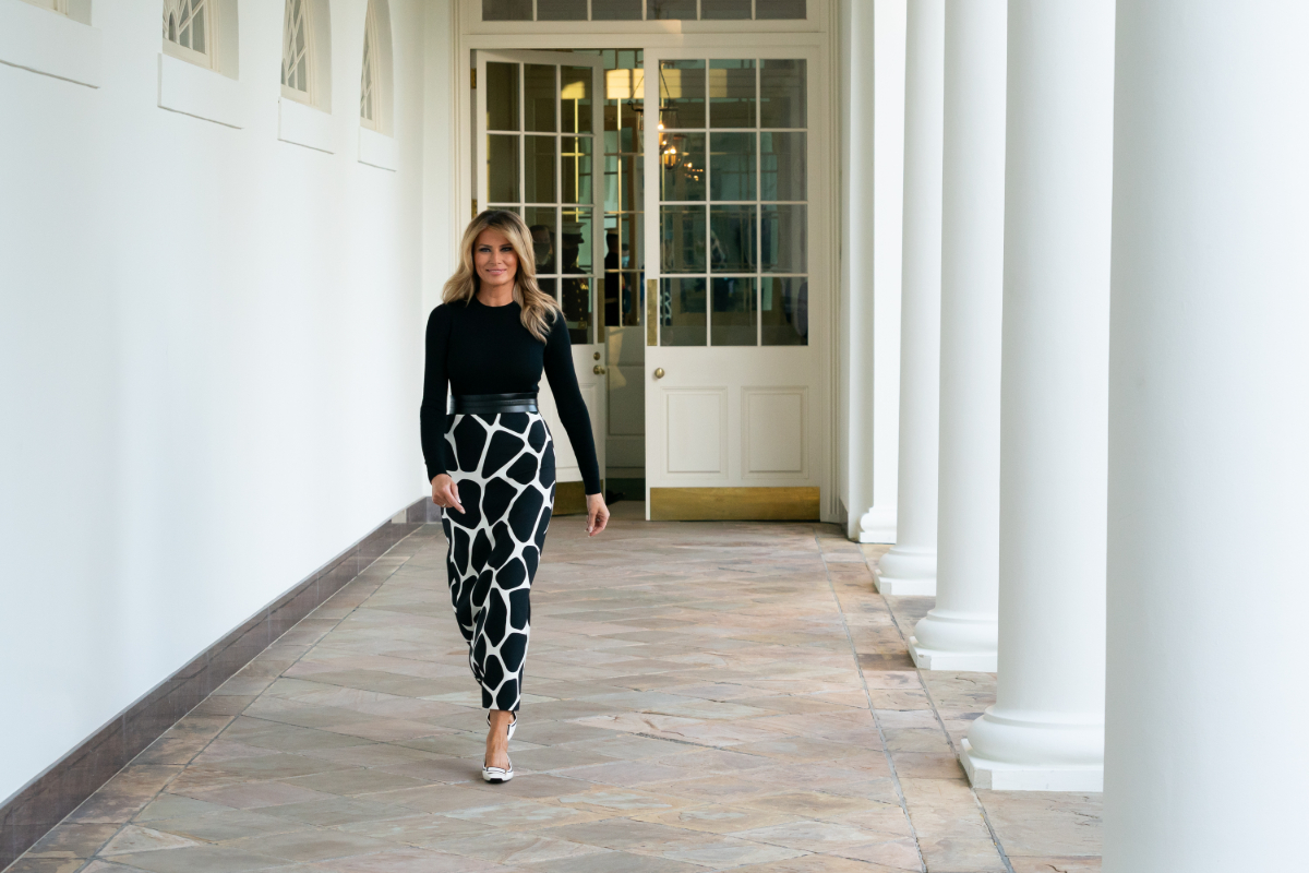 ‘It was Jeffrey Epstein’ who introduced Melania to Trump, ex-model claims