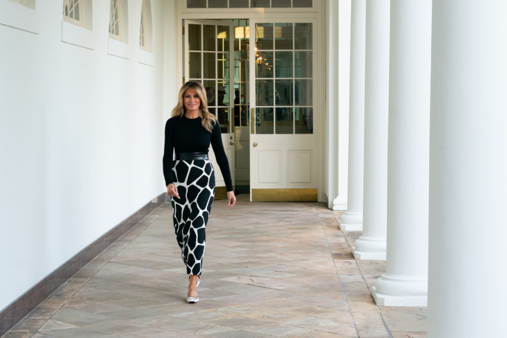 'It was Jeffrey Epstein' who introduced Melania to Trump, ex-model claims