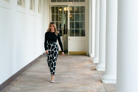 Model alleges Melania met Trump via Epstein