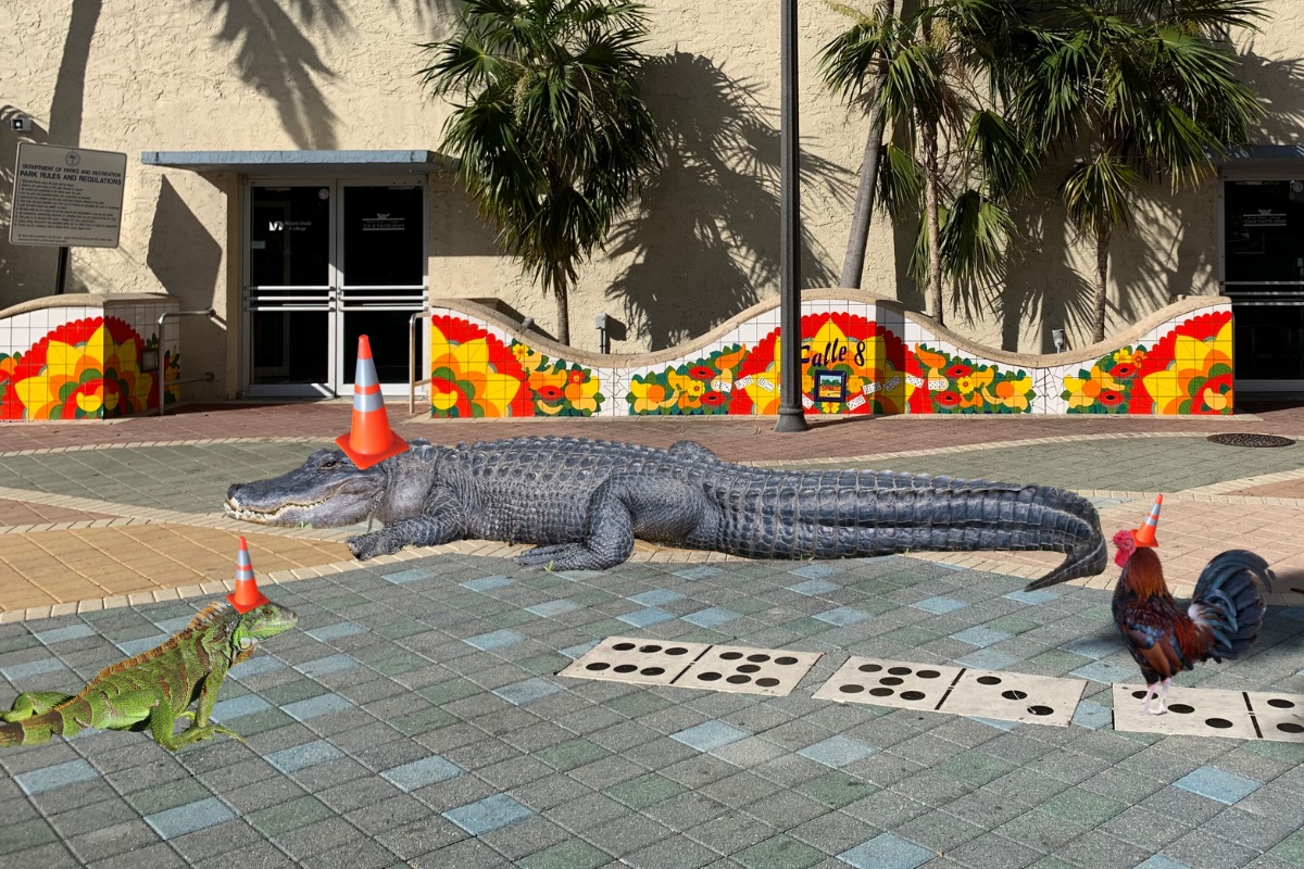 Keeping up with the Tartans: We're following the Scots around Miami