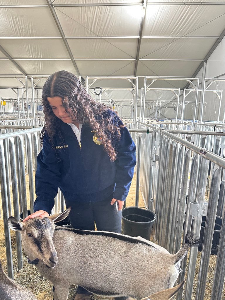 Photo of a young woman petting a goat