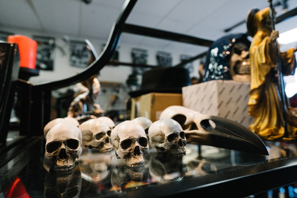 photo of inventory inside an alternative shop including skulls on a shelf