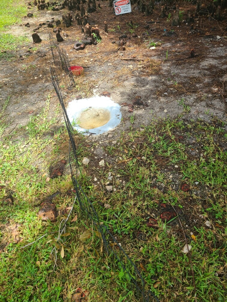 A photo of a bath for a rooster.