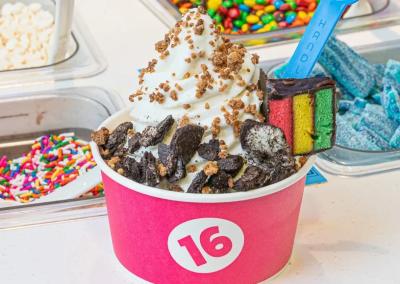 New York fro-yo chain to open on Miracle Mile