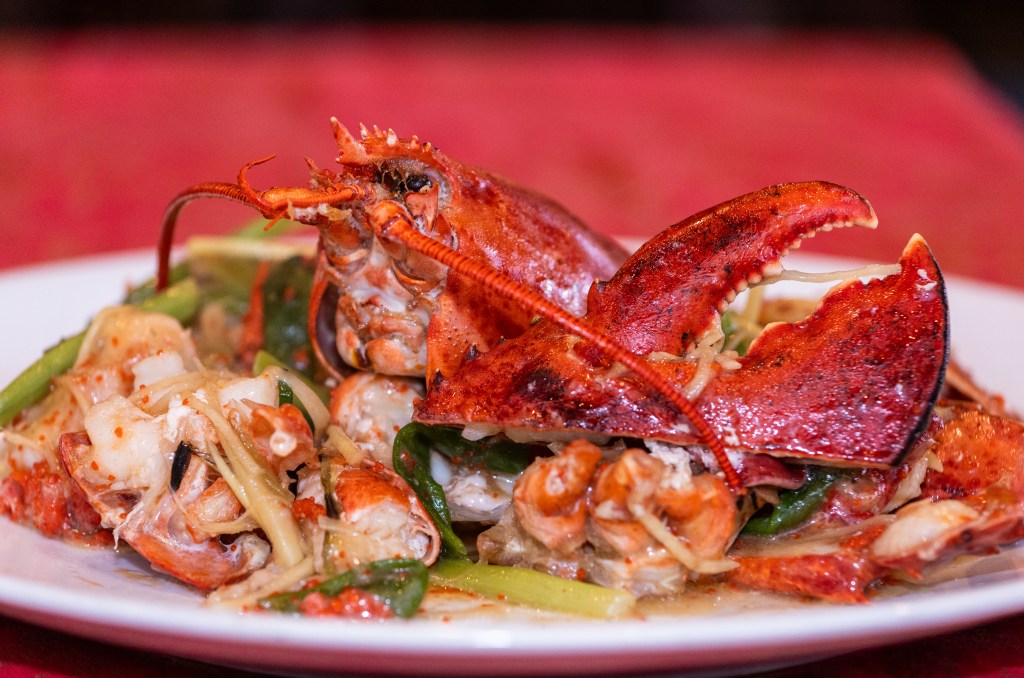 a red lobster dish with a red background