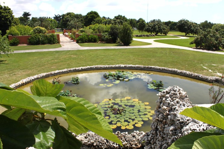 pond at Fruit & Spice park