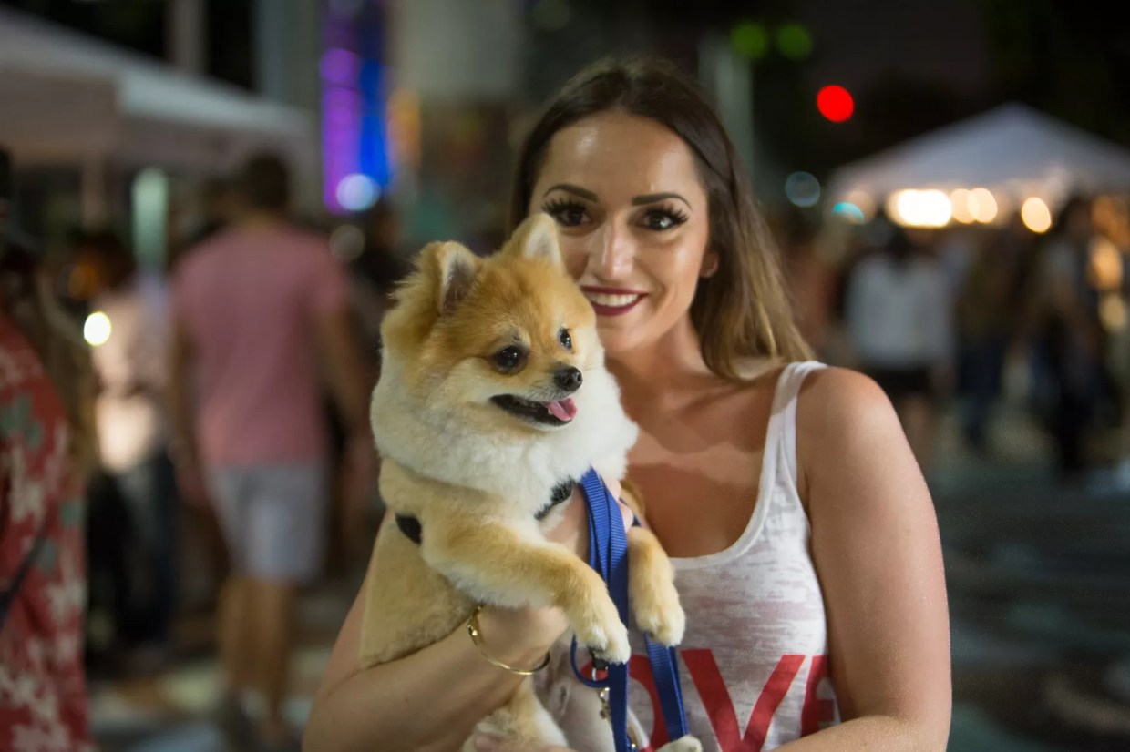 Ten Things to Do in Miami This Week for $10 or Less