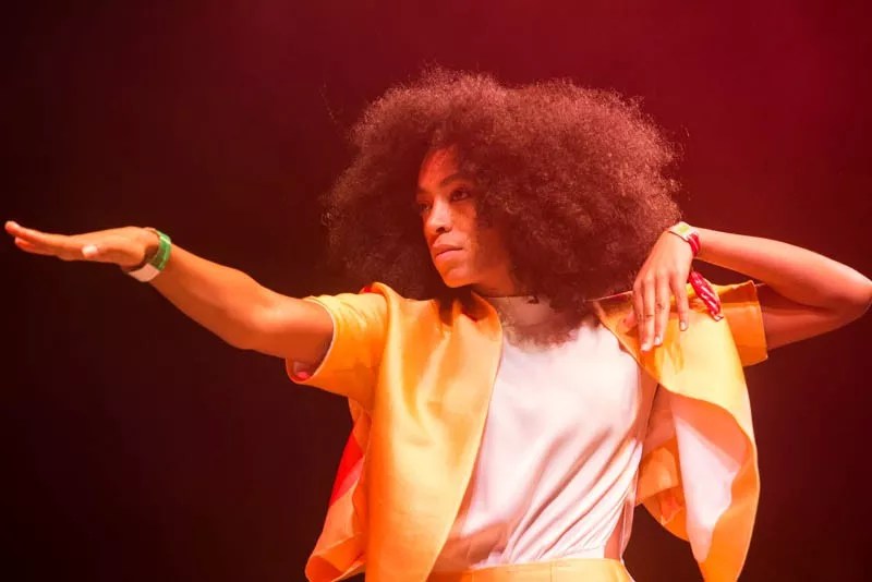 Solange Knowles Understands the Cranes in the Miami Sky Mean So Much More
