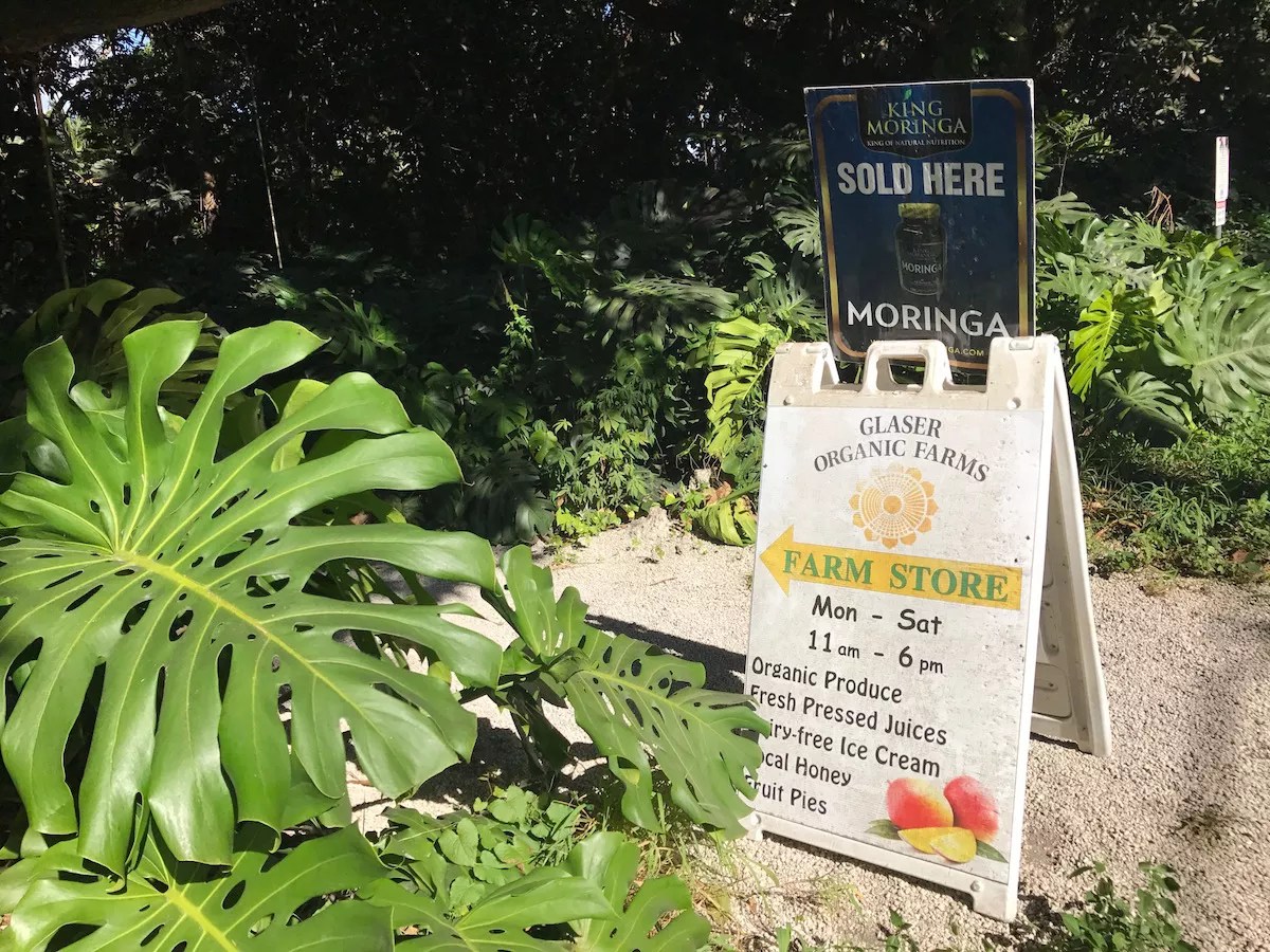 One of Miami’s Oldest Organic Farms Accused of Racially Abusing, Underpaying Workers