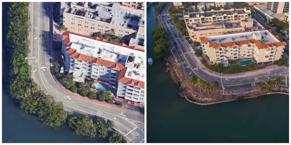 Miami Beach Chopped Down Dozens of Trees Along Indian Creek Drive
