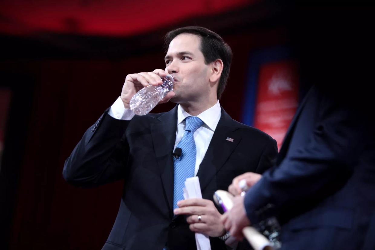 Marco Rubio, a Soggy Piece of Wonder Bread, Has No Opinion About James Comey’s Firing