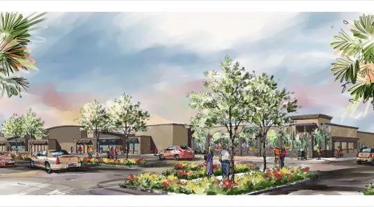 Judge Allows Walmart Developer to Pave Endangered Pine Rocklands in South Dade