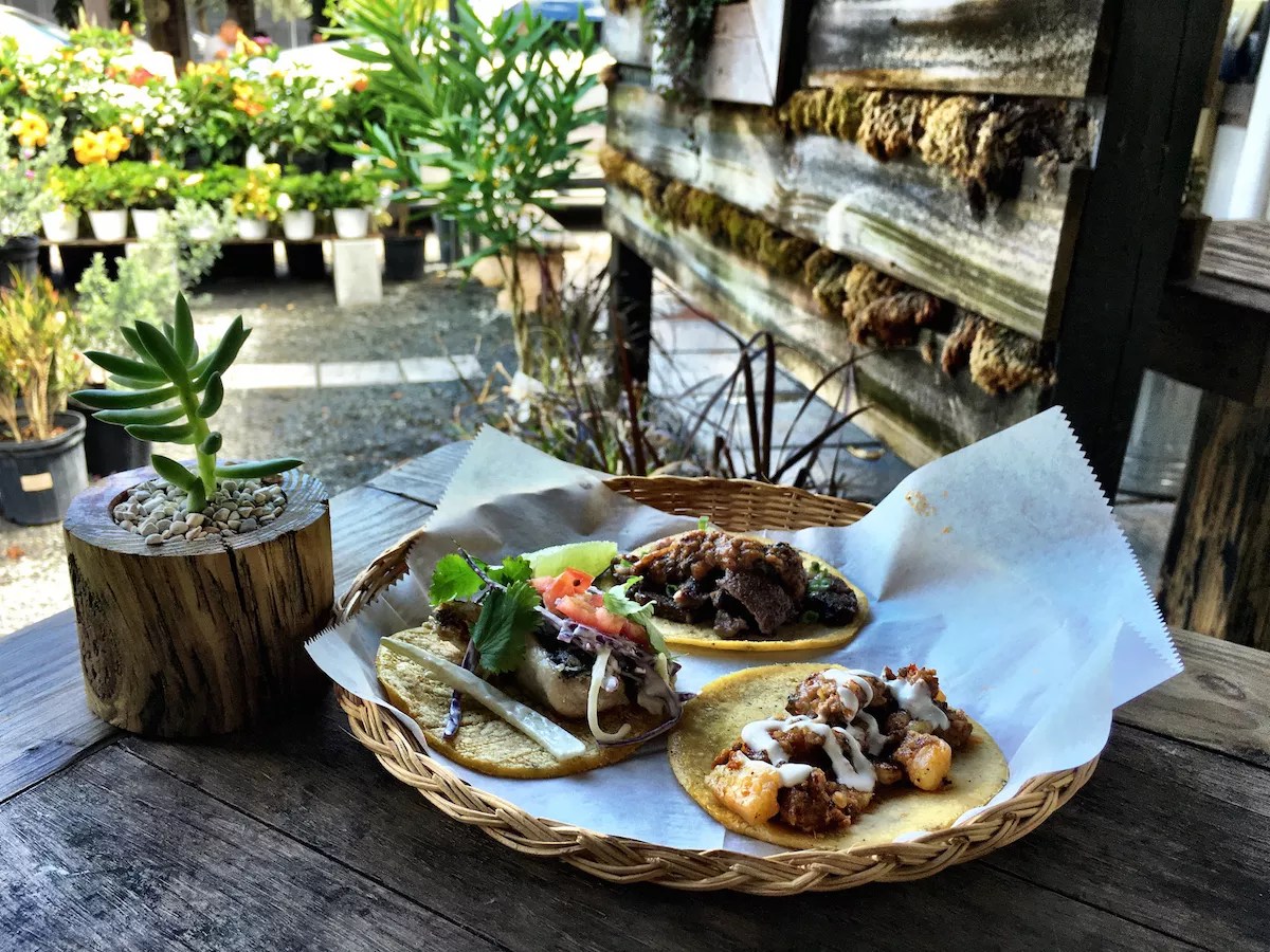 Miami’s Taco Obsession Is Still Thriving at Tacology, Olla, and La Pollita