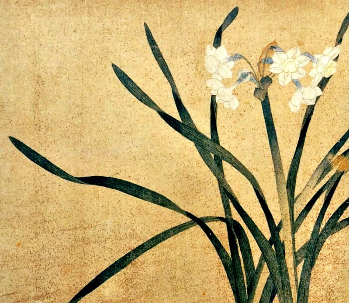 With Wires and a MIDI Machine, Local Musicians Let Their Plants Play the Songs