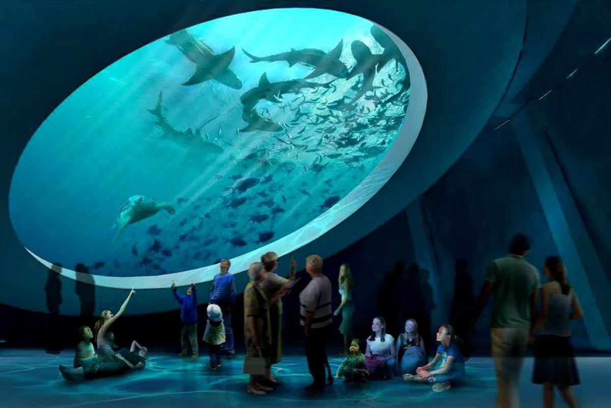 Animal Activists Question Frost Science Museum’s Crocodile and Shark Exhibits