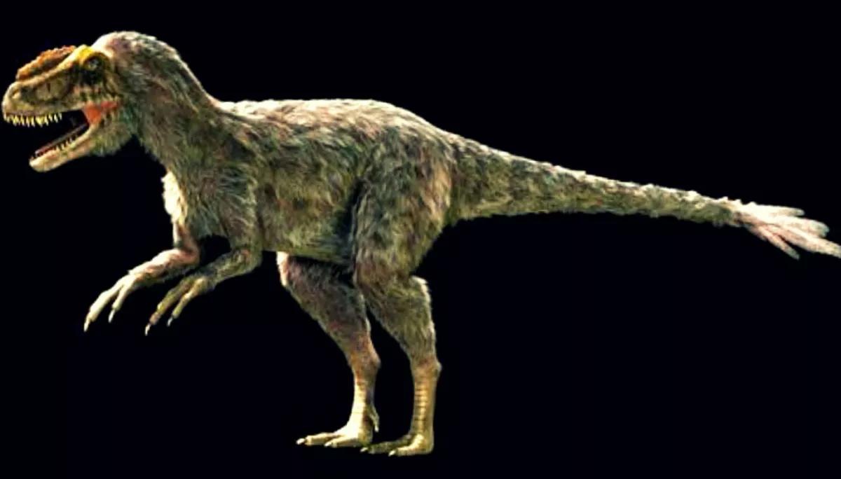 Yutyrannus, a Dinosaur With Feathers, Is Coming to the Frost Museum of Science