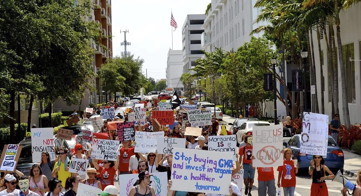 The 21 Best Things to Do in Miami This Week