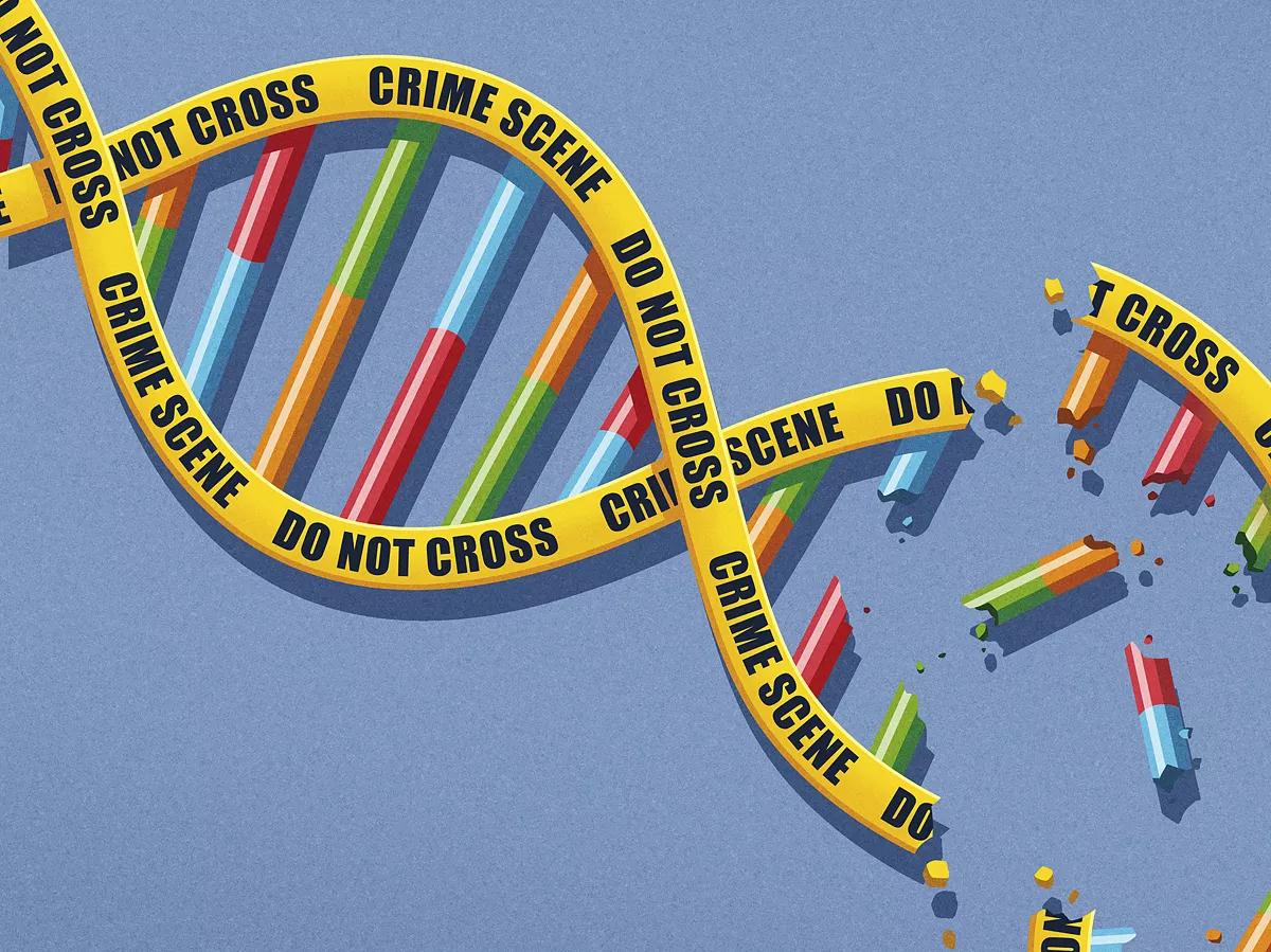 Broward Judge Isn’t Letting Defendant Challenge Bad DNA Evidence