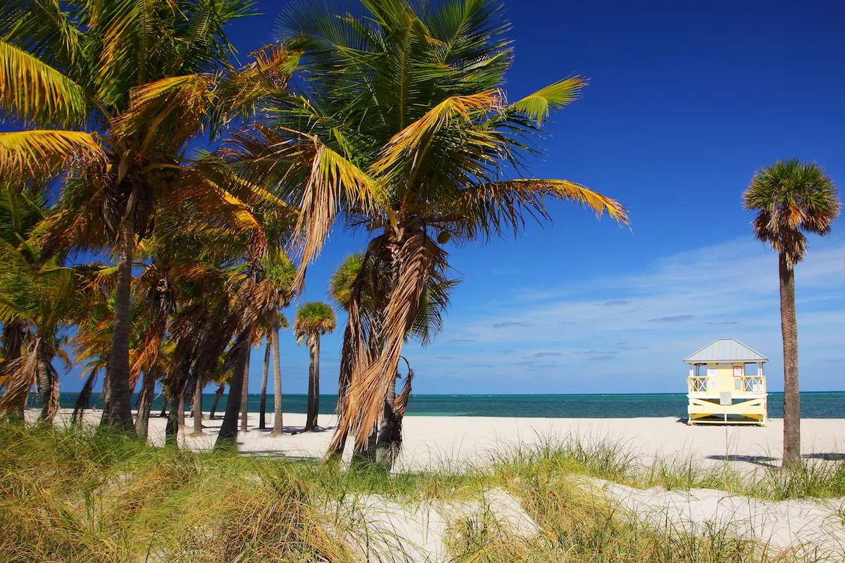 Trump’s EPA Cuts Will Destroy South Florida Beaches, Soil, and Rivers, Environmental Group Warns