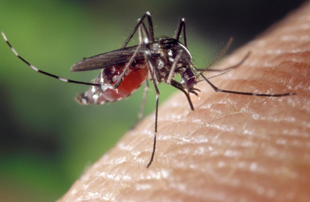 Zika Stifled Wynwood Economy, FIU Study Shows